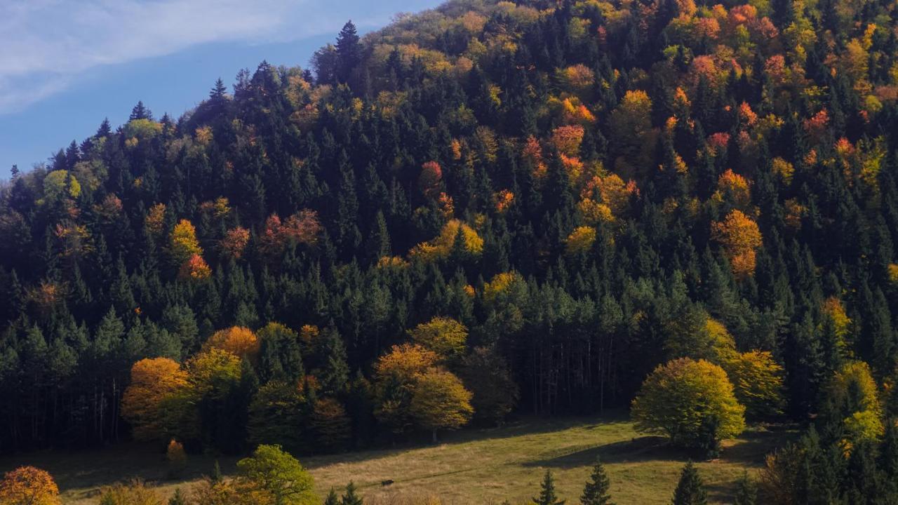 Landhaus ボルジョミ エクステリア 写真