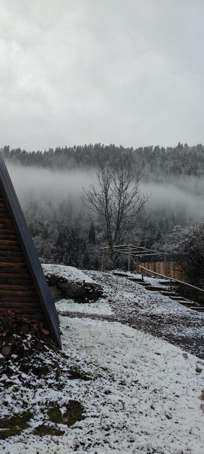 Landhaus ボルジョミ エクステリア 写真