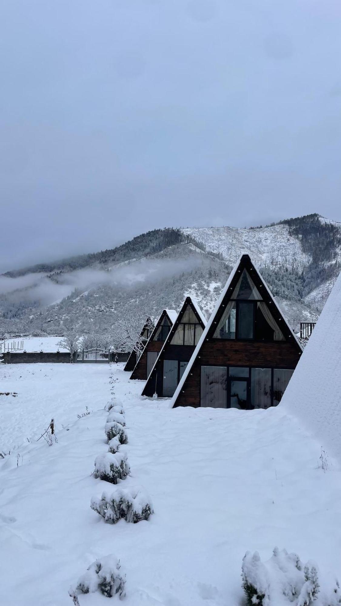Landhaus ボルジョミ エクステリア 写真