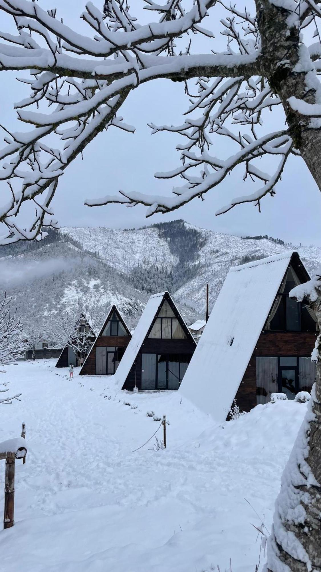 Landhaus ボルジョミ エクステリア 写真