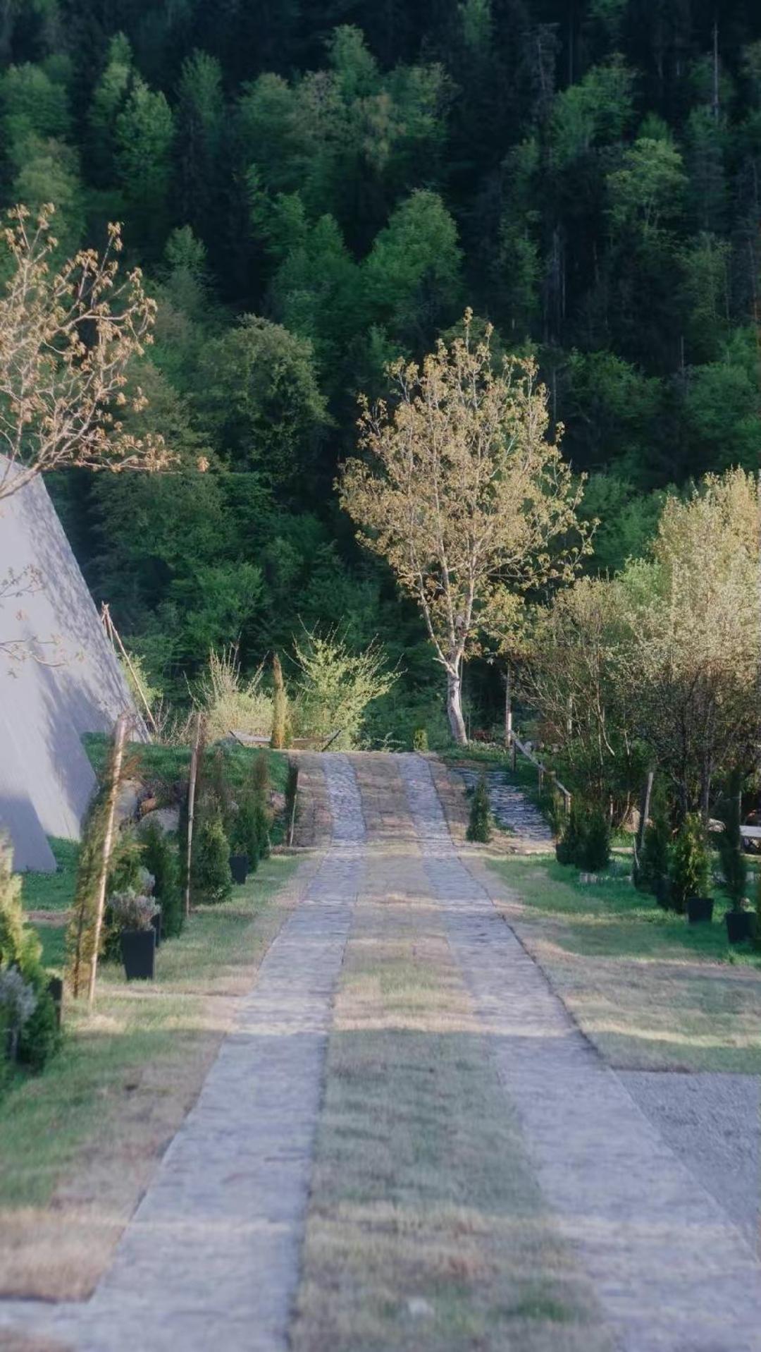 Landhaus ボルジョミ エクステリア 写真